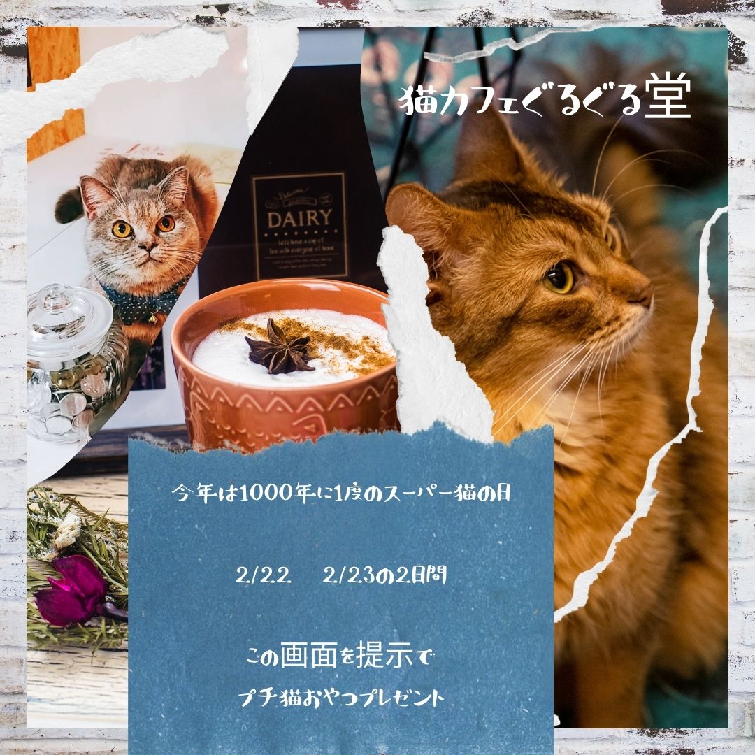 2022/2/22スーパー猫の日プラン