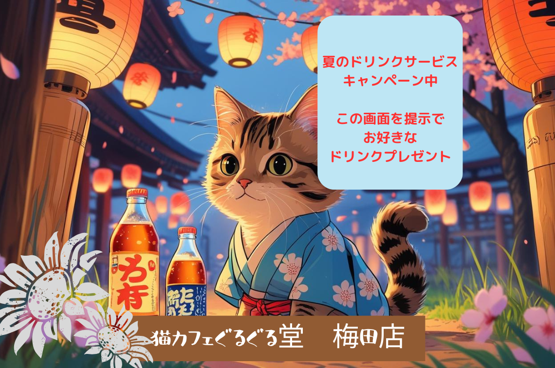 猫カフェぐるぐる堂 中崎町店 (8)